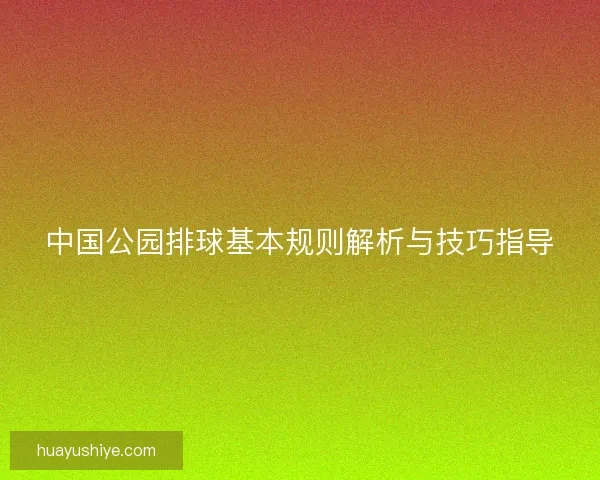 中国公园排球基本规则解析与技巧指导